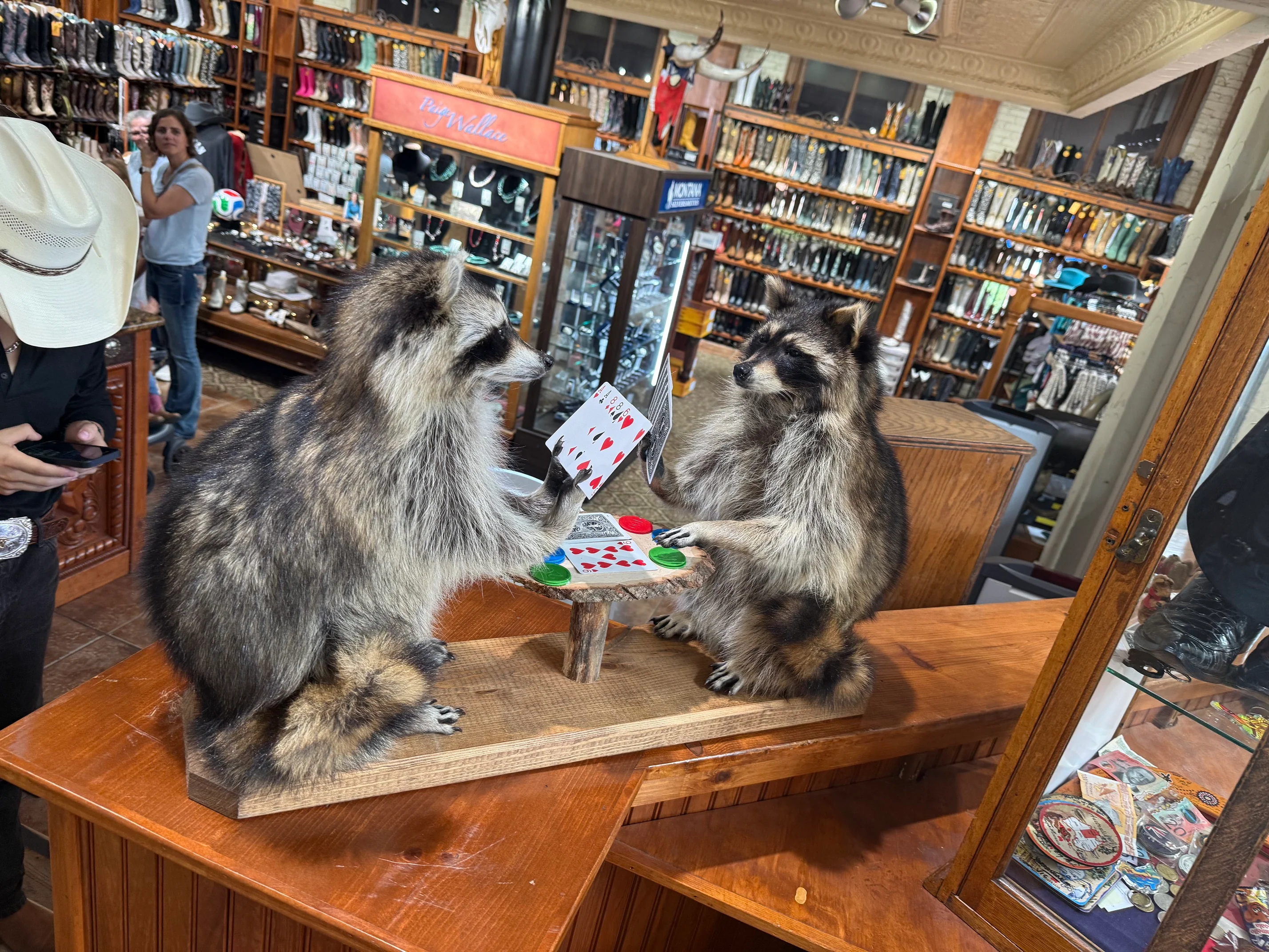 Wild Bill's Raccoons Playing Cards - Image 3